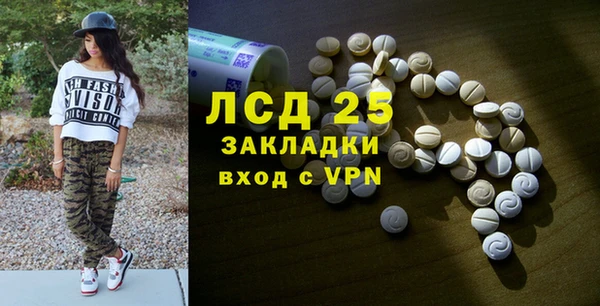 сатива Алзамай