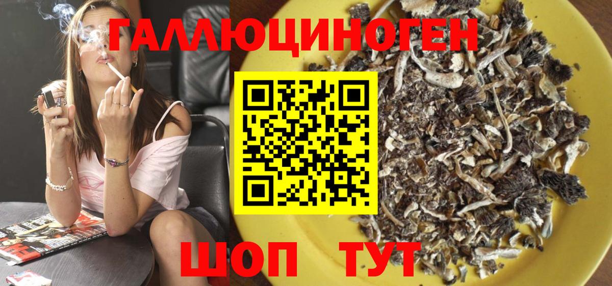 Галлюциногенные грибы Psilocybe Братск
