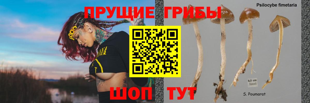 Псилоцибиновые грибы Psilocybine cubensis  Вход с VPN  Псилоцибиновые грибы Psilocybine cubensis  Братск 