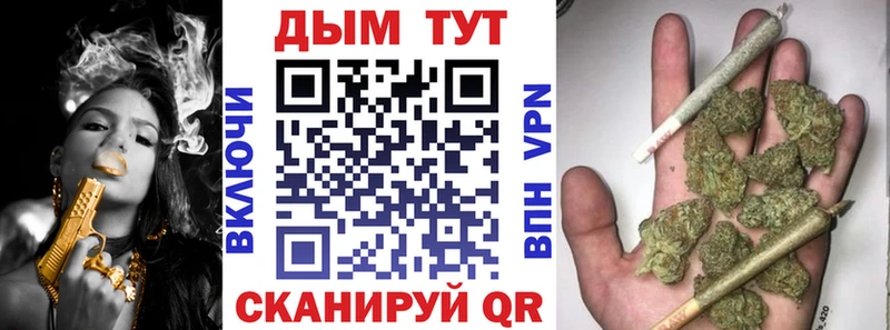 где найти наркотики  мега tor  Шишки марихуана Amnesia  Братск 